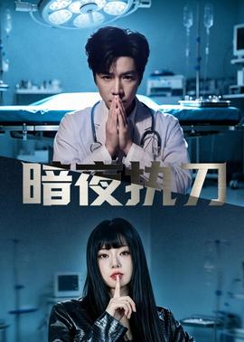 暗夜执刀——高清小先知
