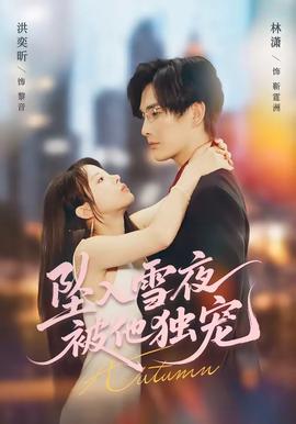 坠入雪夜，被他独宠——舒淇电影