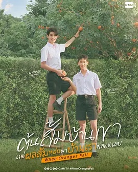 当橘子掉落时——银河奥特曼免费观看完整版中文版